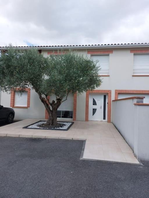 T3 Climatise, Parking Et Jardin Quartier Des Marots A Colomiers Apartment Exterior foto